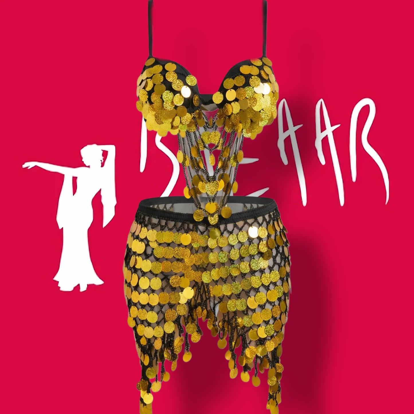Belly dance suit