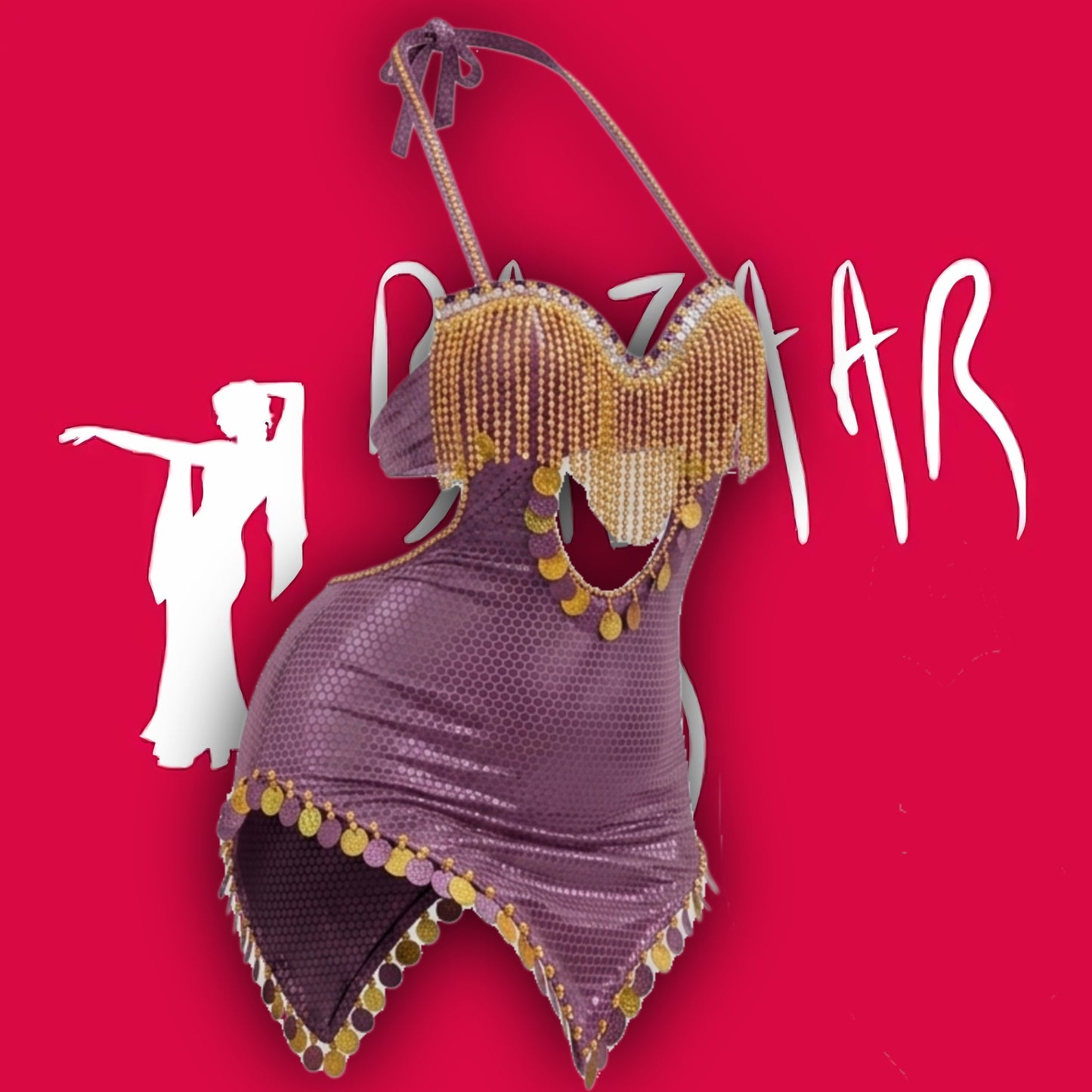 Belly dance suit