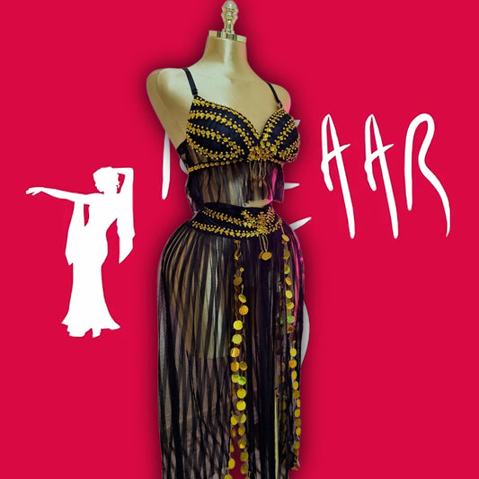Belly dance suit