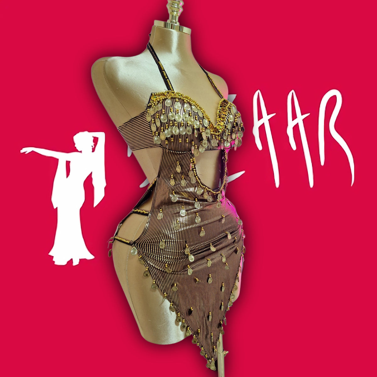belly dance suit