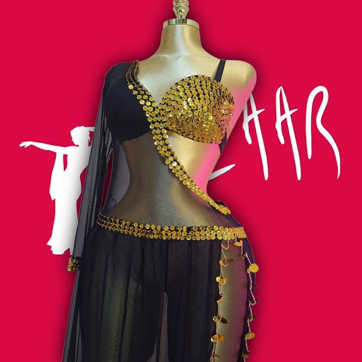 belly dance suit